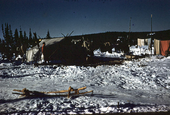 Labrador tent and catamaran in Labrador