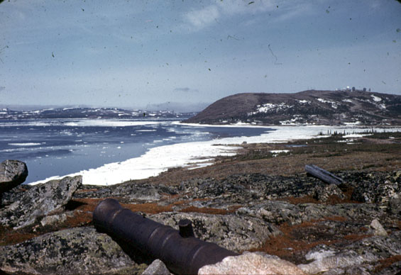 Cannon at Flagstaff Hill, Cartwright, Labrador