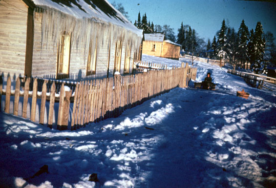 Houses in a labrador community, possibly North West River