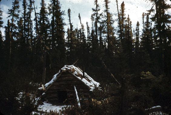 A trapper's tilt in Labrador