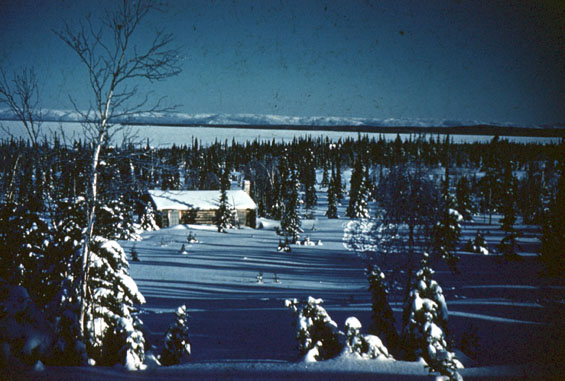Dr. Tony Paddon's cabin at Burntwood Cove, Labrador