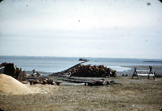 Logs of wood at North West River, Labrador