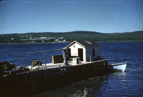 Wharf at St. Anthony, Newfoundland