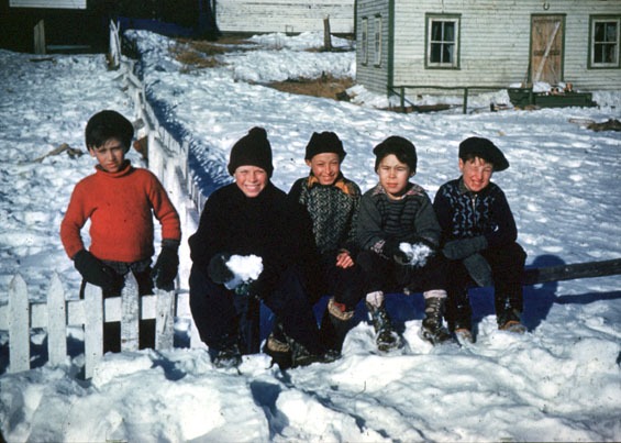 Group of boys sitting on a fence in the snow, outside a cottage, somewhere in Labrador