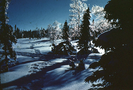 Winter scene, possibly near Burntwood Cove, Labrador