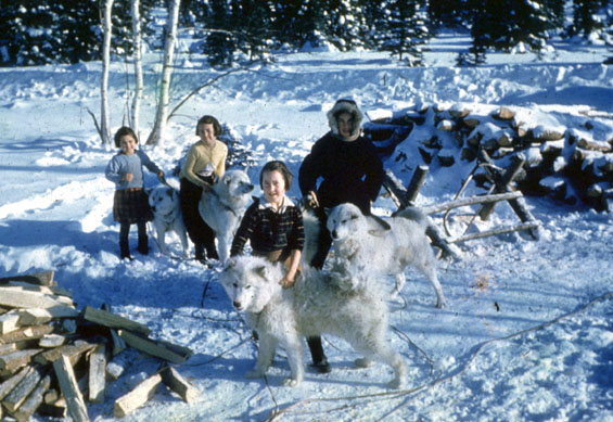 Cecil Blake's children and dogs in North West River, Labrador