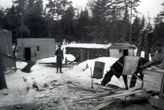 Lumbering Camp at Jacks Pond, Trintiy Bay