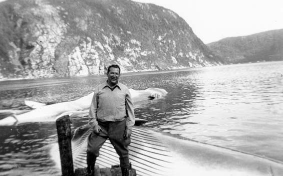 Whaling in Williamsport, Newfoundland