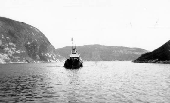 Whaling vessel coming into Williamsport, Newfoundland