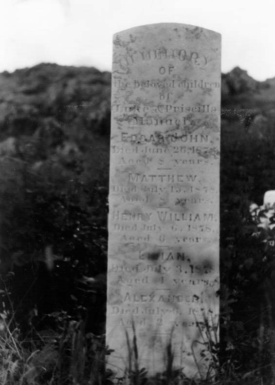 Headstone of the children of Luke and Priscilla Manuel at the cemetery in Exploits, Newfoundland