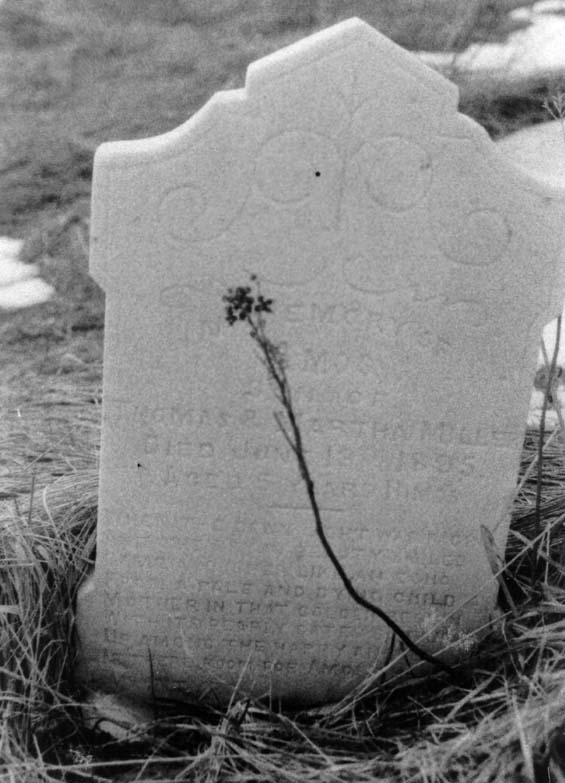 Headstone of Amos Miller at the cemetery in Exploits, Newfoundland