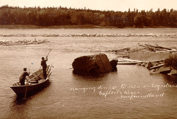Logs on the Exploits River, Newfoundland