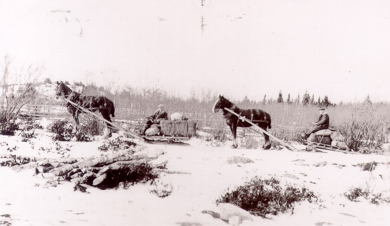 Men taking supplies by horse and sled to a logging camp