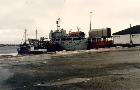 The offshore supply vessel  
