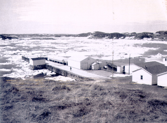 View of the government wharf, St. Lunaire, Great Northern Peninsula, Newfoundland