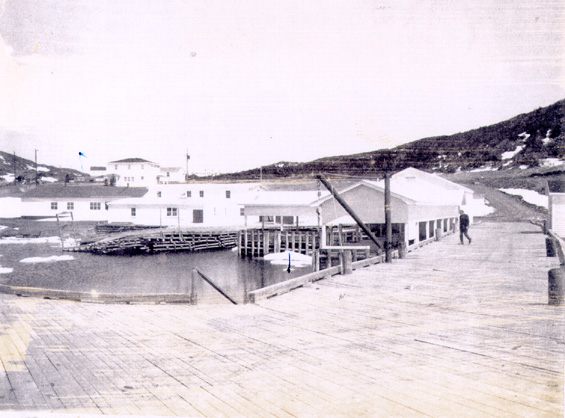 View of the government wharf, St. Lunaire, Great Northern Peninsula, Newfoundland