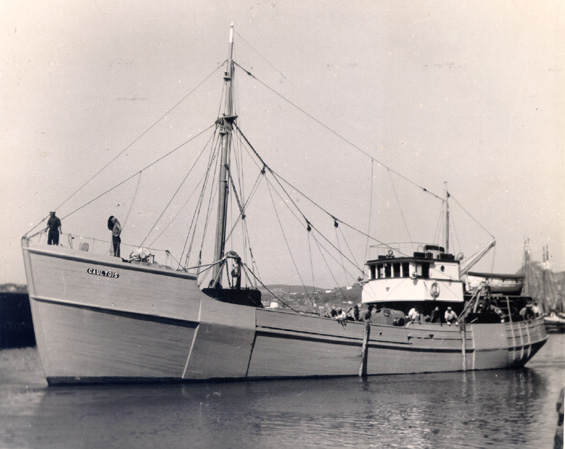 The fishing vessel 
