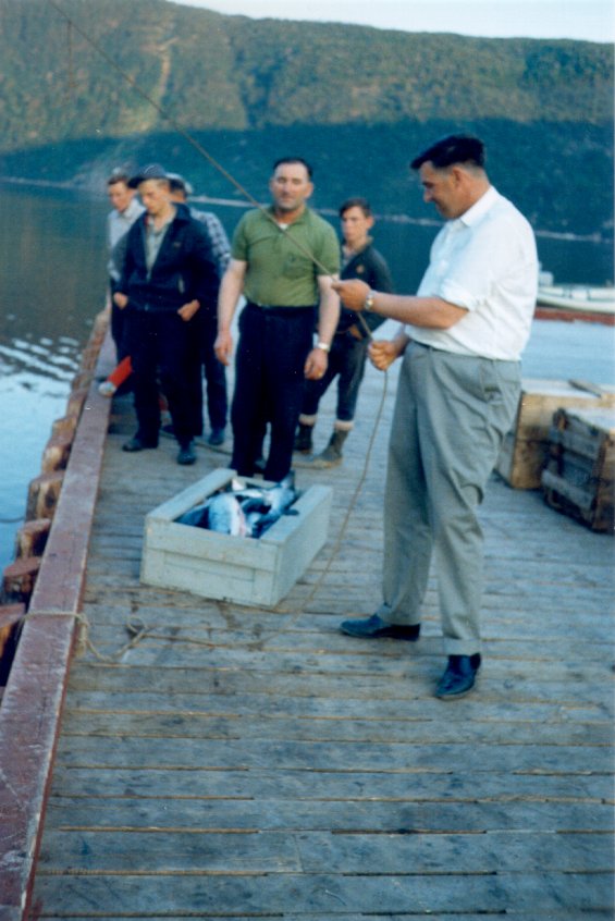 Men standing on a wharf at Englee, Great Northern Peninsula, Newfoundland, helping to unload cod fish from a boat