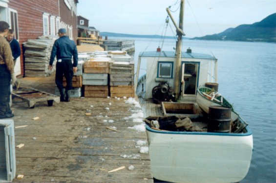 An unidentified fishing boat docked at the Canada Bay Cold Storage Company Ltd. facilities wharf at Englee, Great Northern Peninsula, Newfoundland