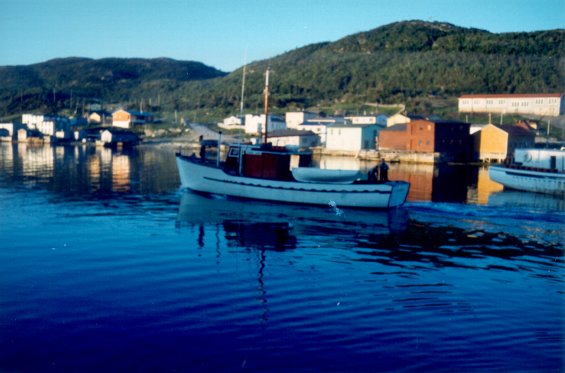 Fishing boat in the harbour at Englee, Great Northern Peninsula, Newfoundland