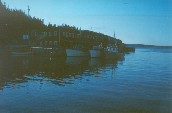 Fishing boats docked at the Canada Bay Cold Storage Company Ltd. facilities at Englee, Great Northern Peninsula, Newfoundland