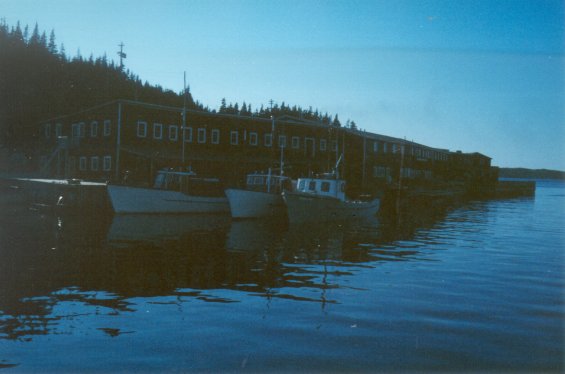 Fishing boats docked at the Canada Bay Cold Storage Company Ltd. facilities at Englee, Great Northern Peninsula, Newfoundland