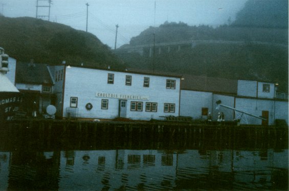 Gaultois Fisheries Ltd. fish plant at Gaultois, south coast of Newfoundland