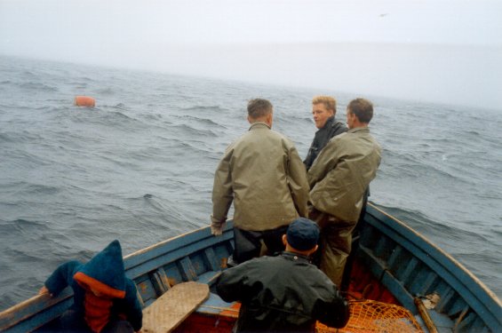 Fishermen fishing for cod fish in the waters off Newfoundland