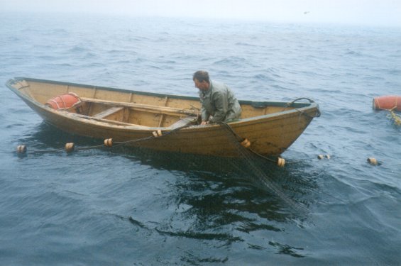 Fisherman in a small boat getting ready to haul a cod trap