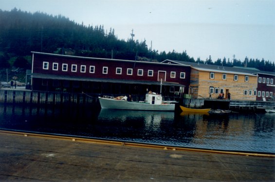 Fishing boat docked at the Canada Bay Cold Storage Company Ltd. facilities at Englee, Great Northern Peninsula, Newfoundland
