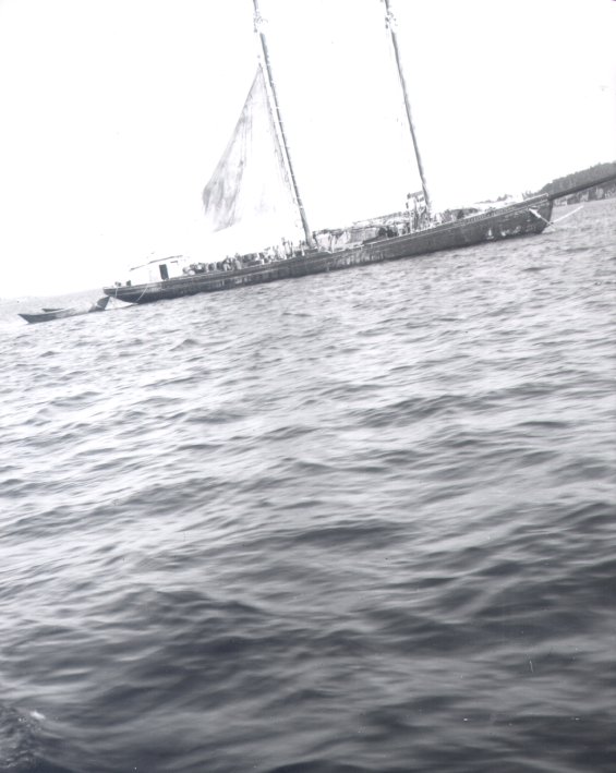 The schooner 