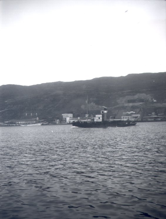 An unidentified steamer in St. John's Harbour, Newfoundland