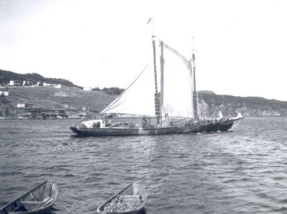 An unidentified sailing ship in a harbour