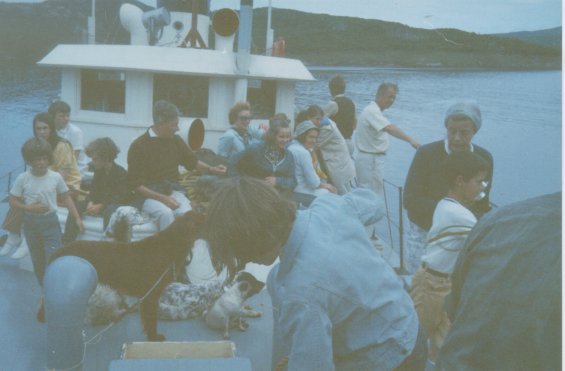 Group of people and their dogs on a boat