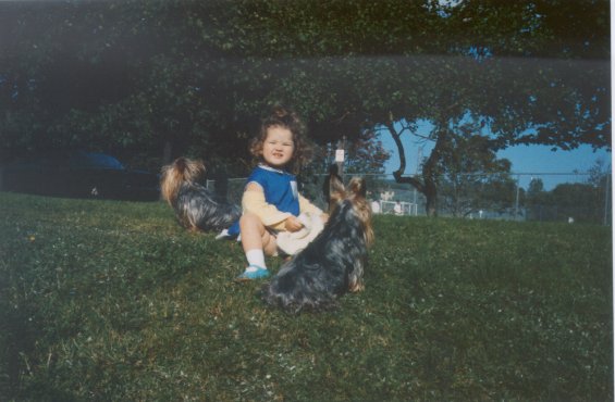 Harold L. Lake's daughter sitting in the grass with her Yorkshire Terriers