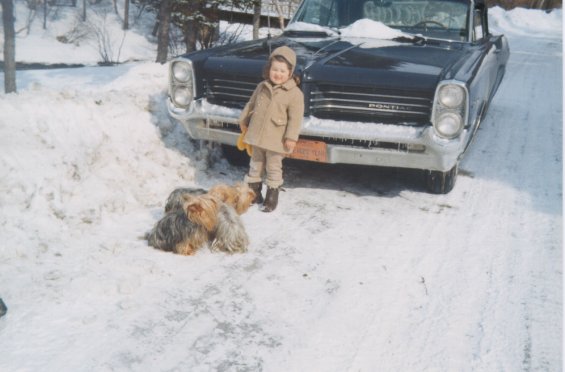 Harold L. Lake's daughter with her Yorkshire Terriers playing in the snow