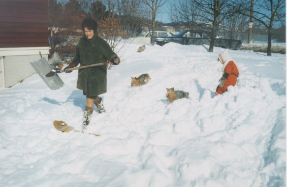 Harold L. Lake's wife, Robin, and their daughter playing in the snow with their dogs