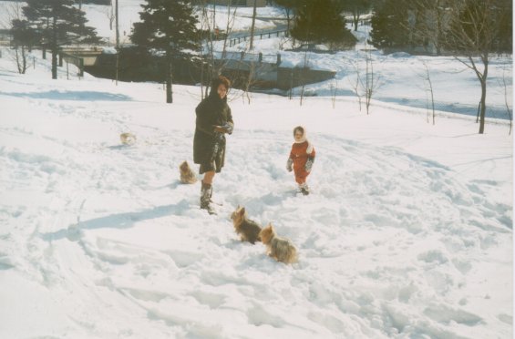 Harold L. Lake's wife, Robin, and thier daughter playing in the snow with their Yorkshire Terriers