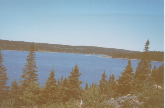 View of a lake