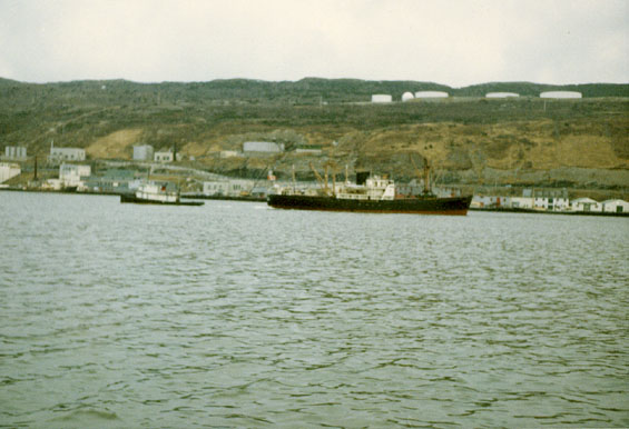 Two unidentified ships in St. John's Harbour, Newfoundland