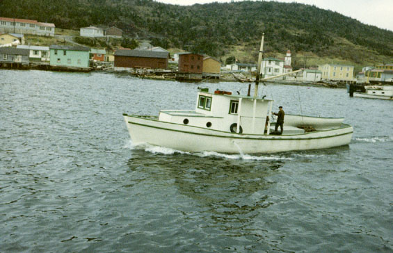 Fishing boat in the harbour at Englee, Great Northern Peninsula, Newfoundland