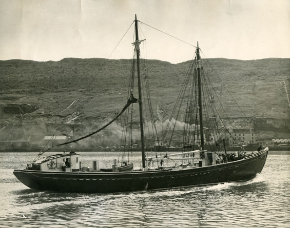 An unidentified ship in St. John's Harbour, Newfoundland