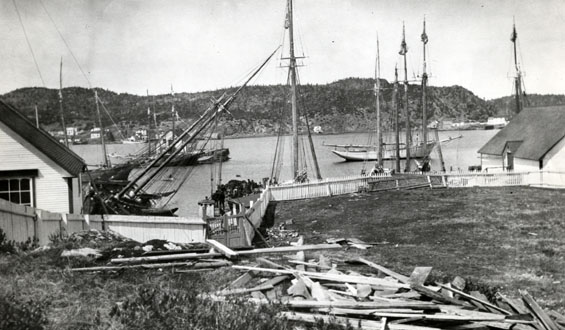 View of many ships in a harbour