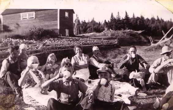 Budgell and Combden families having a picnic in front of Joseph Budgell's house, Wild Cove, Fogo Island, Newfoundland