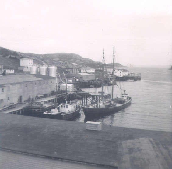 Vessels at Wareham's wharf, Harbour Buffett, Placentia Bay, Newfoundland
