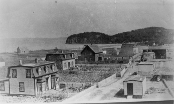 The Neck, Haystack, Placentia Bay, Newfoundland, showing the Wareham and Coffin houses