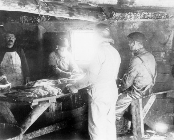 Men working inside a splitting stage, Battle Harbour
