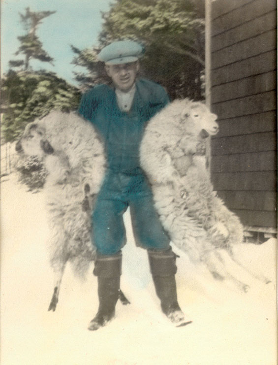 Frank Denty with two sheep at Coffin's Cove, Harbour Buffett, Placentia Bay.