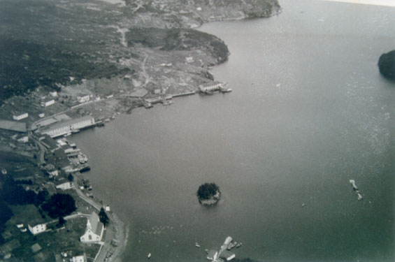 Aerial view of Harbour Buffett, Placentia Bay.