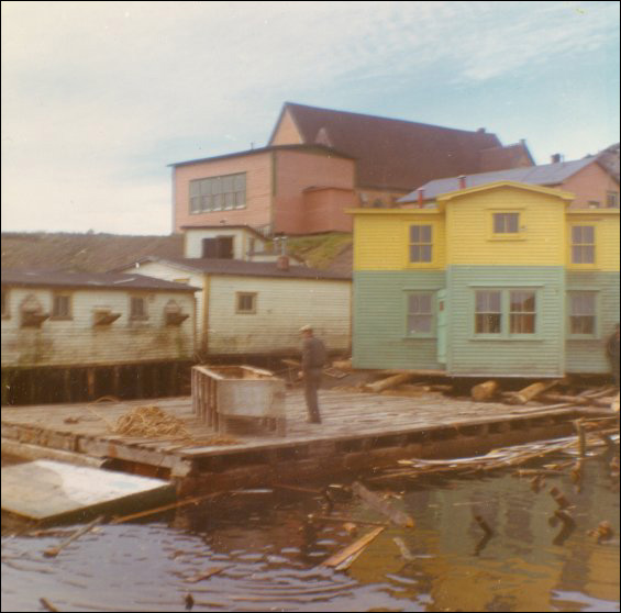 Maison de Jack Wadman, près de la barge devant la transporter de Bar Haven à Southern Harbour (baie de Placentia)